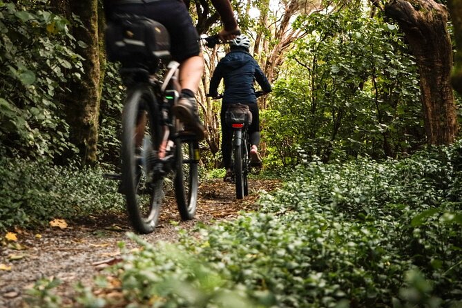 Remutaka Rail Trail Mountain Bike Explorer Cycle Tour