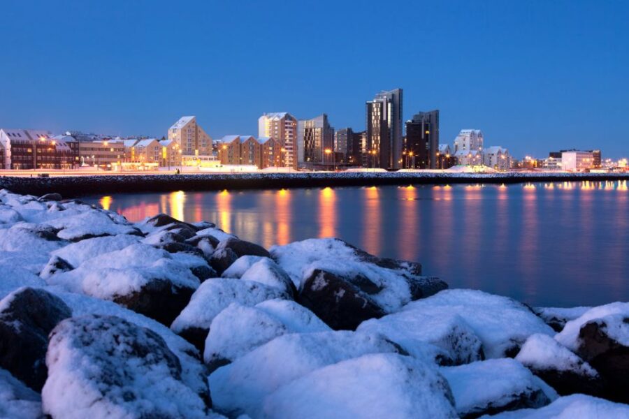 Reykjavik: First Discovery Walk and Reading Walking Tour