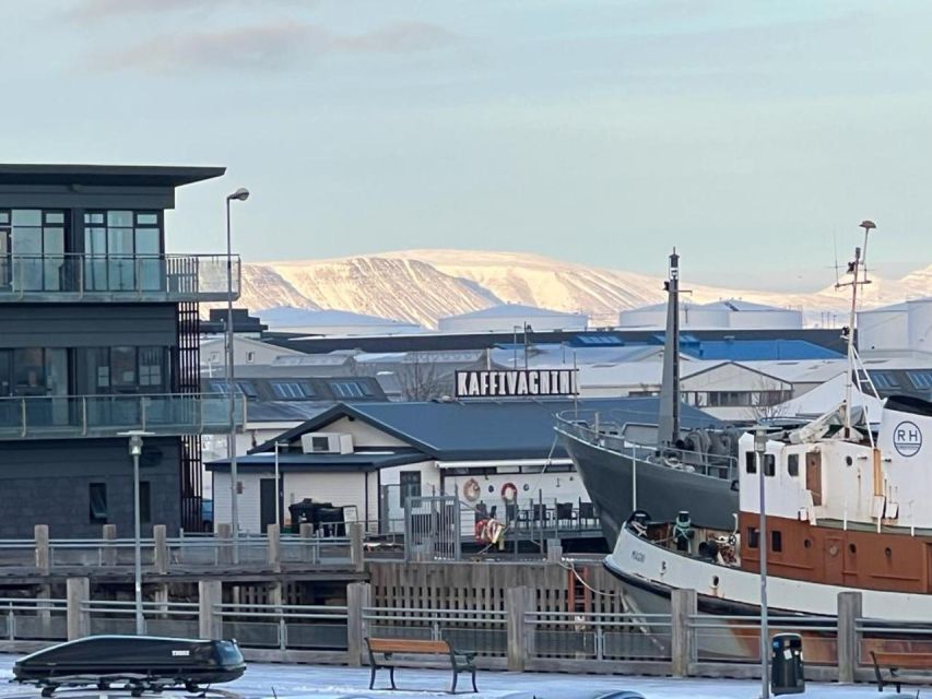 Reykjavik Food Tour in the Old Harbor - BiteSizedIceland.com