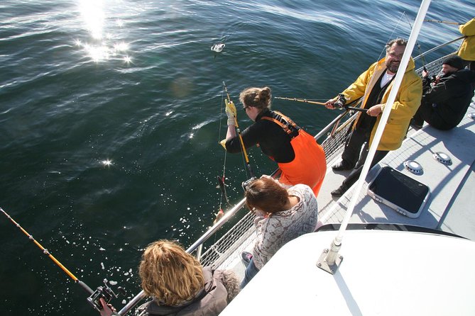 Reykjavik Sea Angling Gourmet - Tour Overview and Details