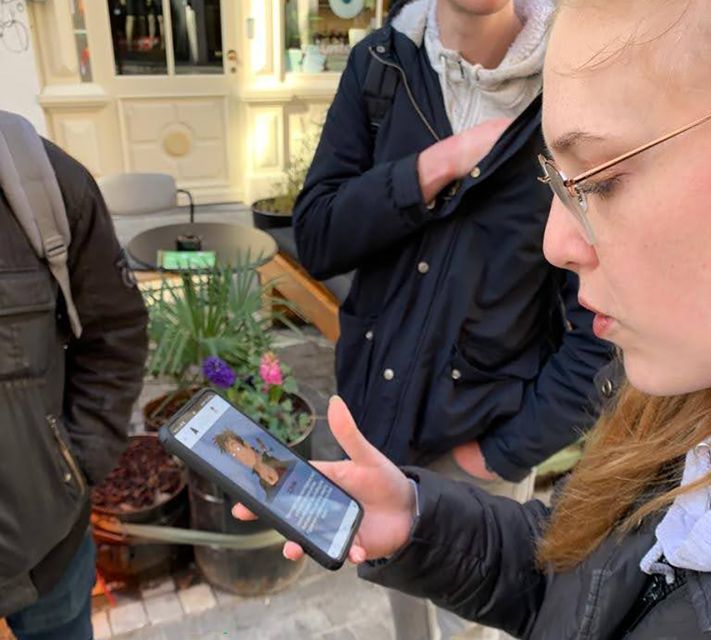 5 Best Self-Guided Tours In Reykjavik