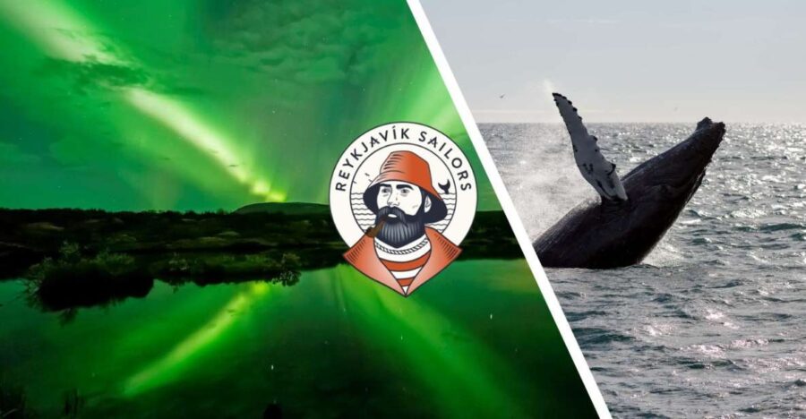 Reykjavik: Whale Watching & Northern Lights Combo Cruise