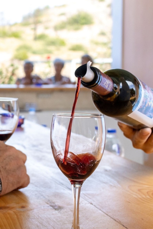 Rhodes: Cooking Class and Wine Tasting Experience
