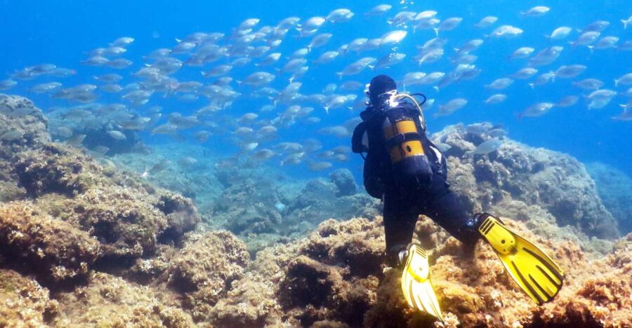 Rhodes: Diving Adventure for Beginners and Experts