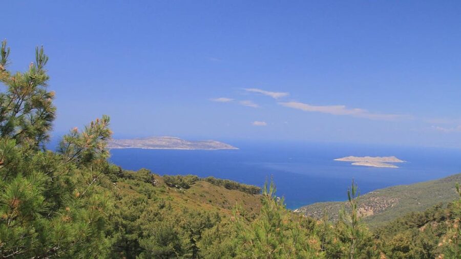 9 Best Safari Tours In Rhodes
