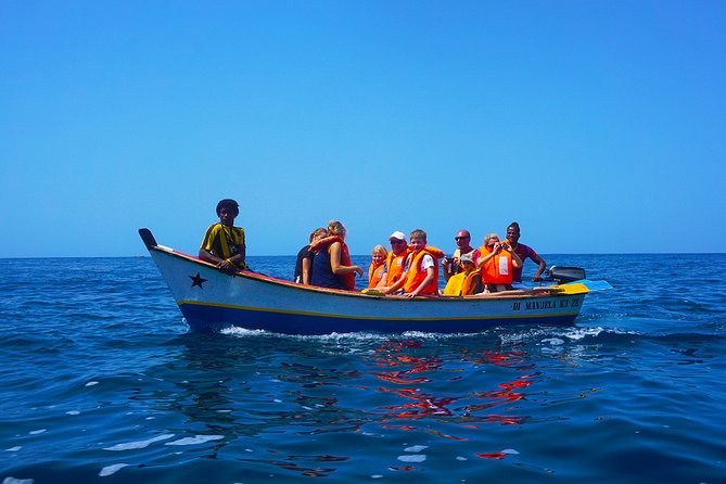 Ribeira Da Barca: Boat Trip to the Cave, Snorkeling and BBQ on the Beach - Location and Group Size