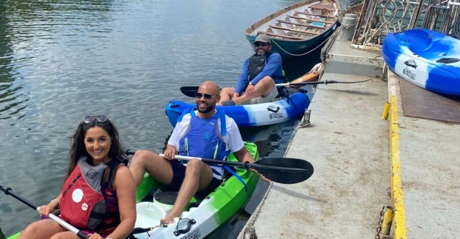 Richmond: Group Kayak Experience