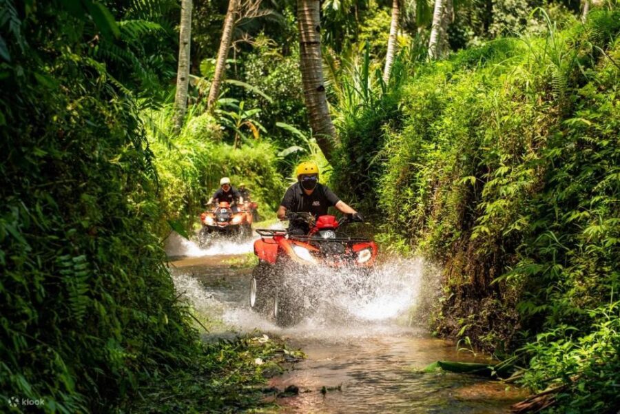 Ride the Wild: Bali ATV Expedition & Jungle Safari Adventure - Experience Overview