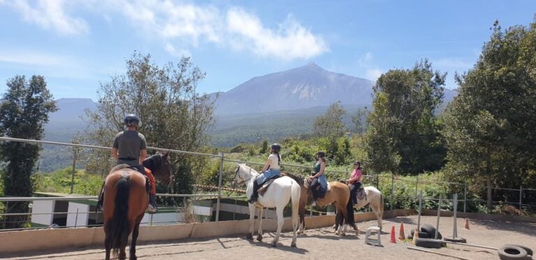 Riding Lesson for Beginners 1 Hour, Lots of Information