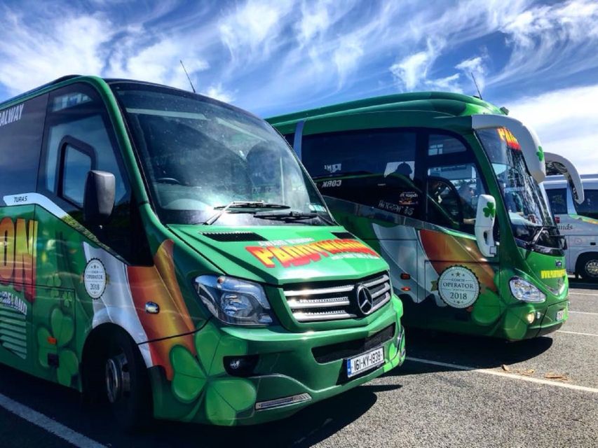 Ring of Kerry Full-Day Tour From Limerick