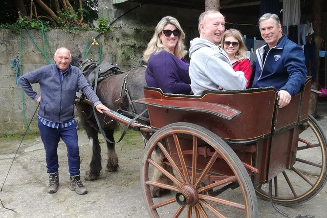 Ring of Kerry Tour Private Chauffeur Driven From Killarney Luxury - Tailored Tour Experience