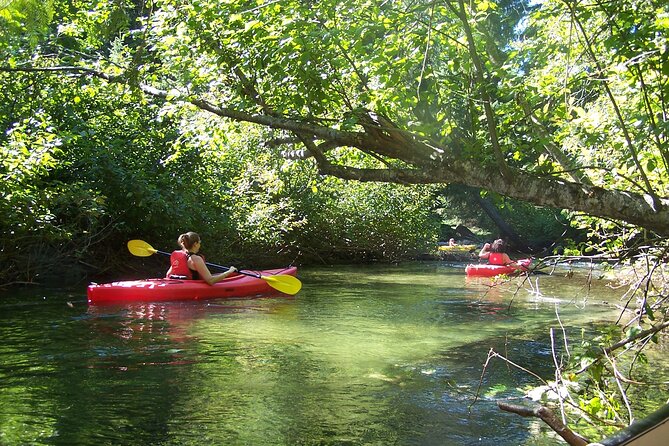 2 Best Canoe And Kayak Experiences In Whistler