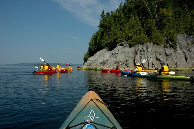 2 Best Canoe And Kayak Experiences In Saint John