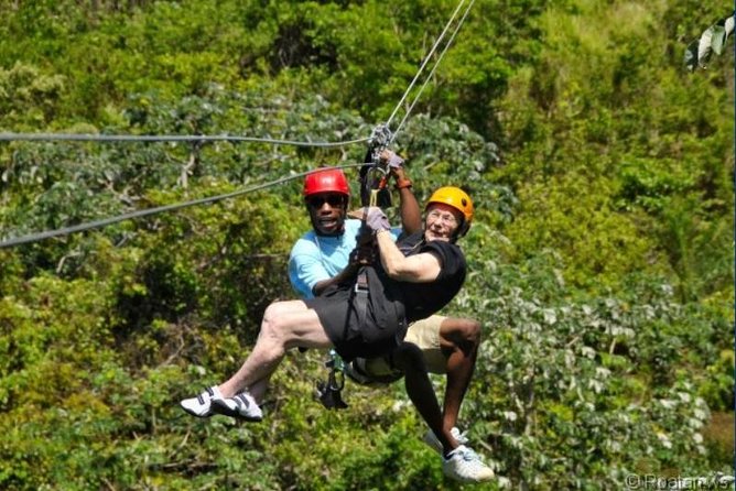 Roatan Shore Excursion: Zip N Dip Canopy Tour