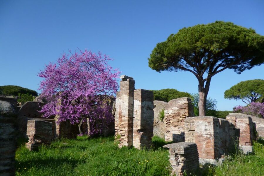 Rome: Private Ostia Antica Tour