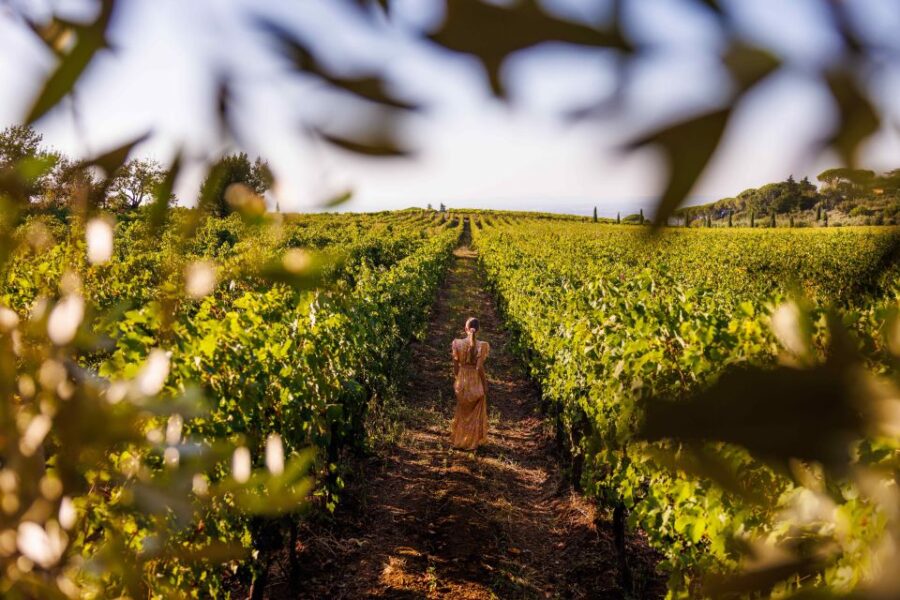 Rome: Vatican, Trevi Fountain & Wine Tasting - Tour Overview