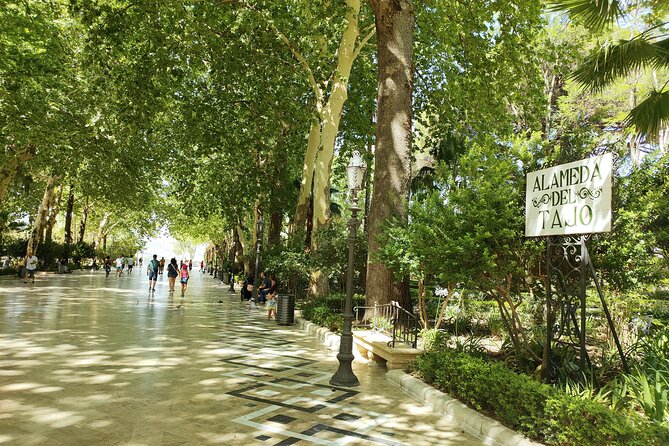Ronda, the Dreamt City: Private Walking Tour