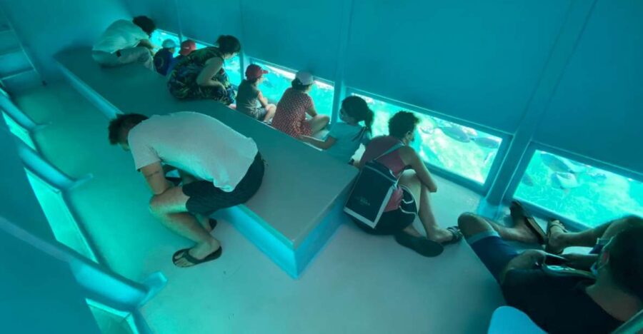 Roses: Costa Brava Catamaran Trip With Underwater Views