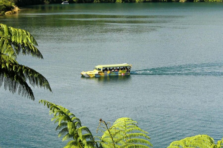 25 Best Tours In Rotorua