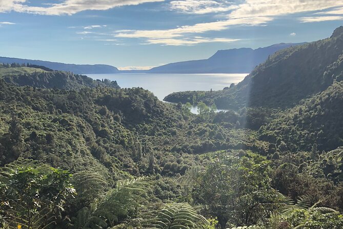Rotorua Cultural Small Group Afternoon Tour