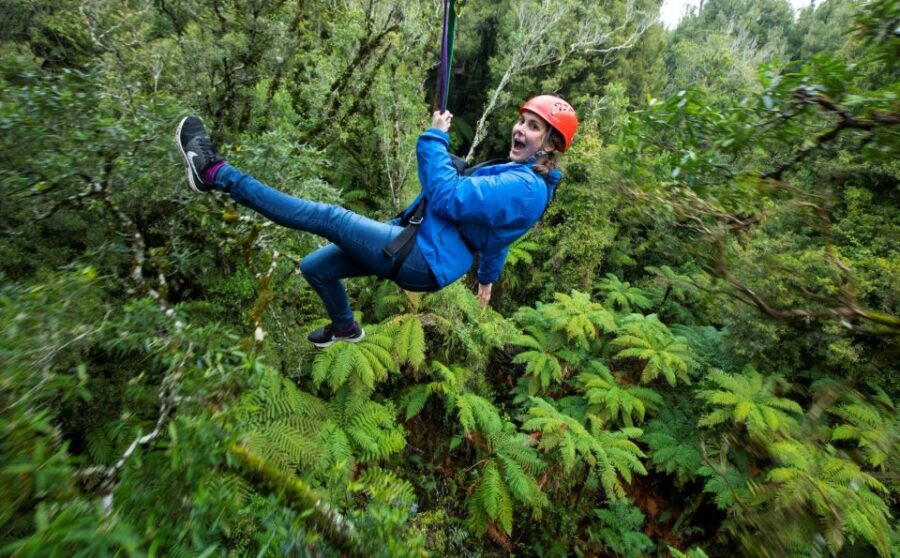 14 Best Guided Tours In Rotorua