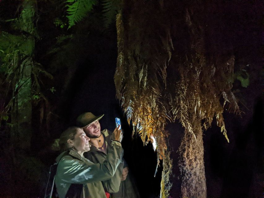 Rotorua: Nocturnal Glow Worm Tour With a Guide