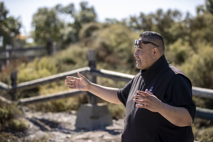 Rotorua: Te Puia Geothermal Valley Guided Tour With Tickets