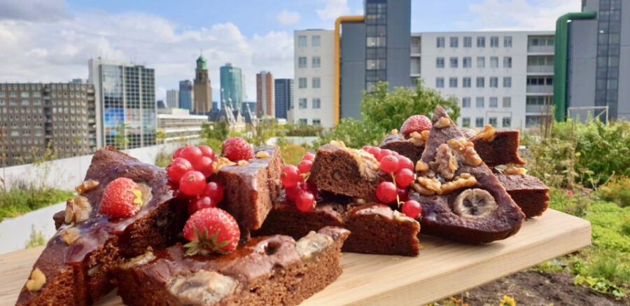 Rotterdam: Food Tour by Bike