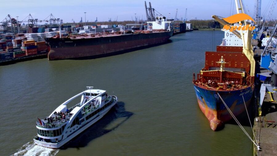 Rotterdam: Harbor Sightseeing Cruise - Overview and Pricing