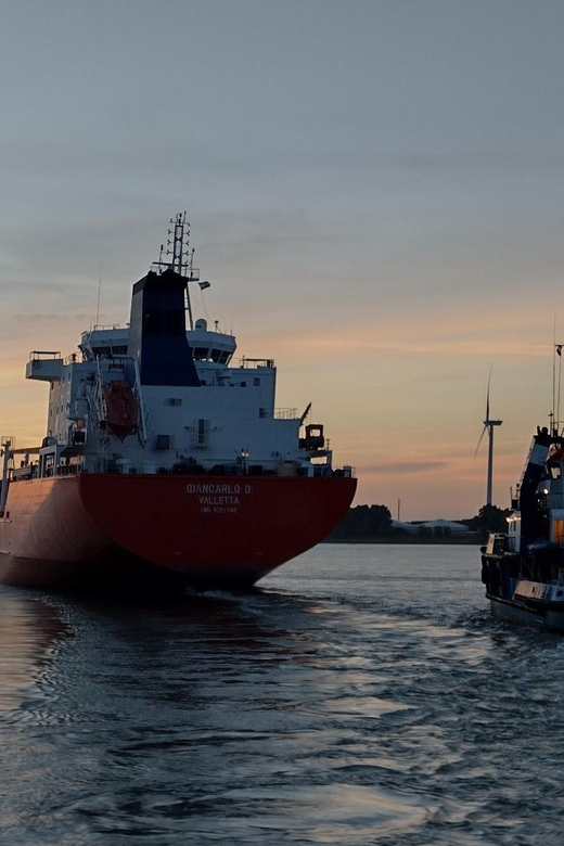 Rotterdam: Summer Evening Cruise With Live Entertainment - Experience Highlights