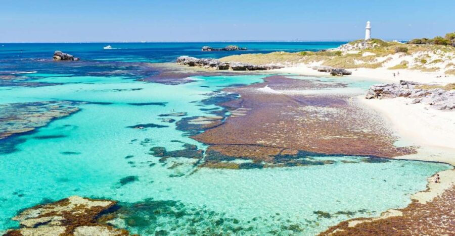 Rottnest Grand Island Package With Ferry, Tour & Light Lunch