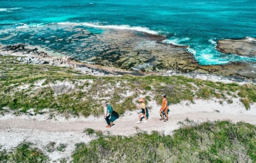 3 Best Guided Tours In Rottnest Island