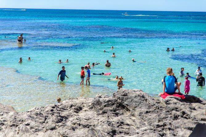 Rottnest Island Roundtrip Fast Ferry From Hillarys Boat Harbour