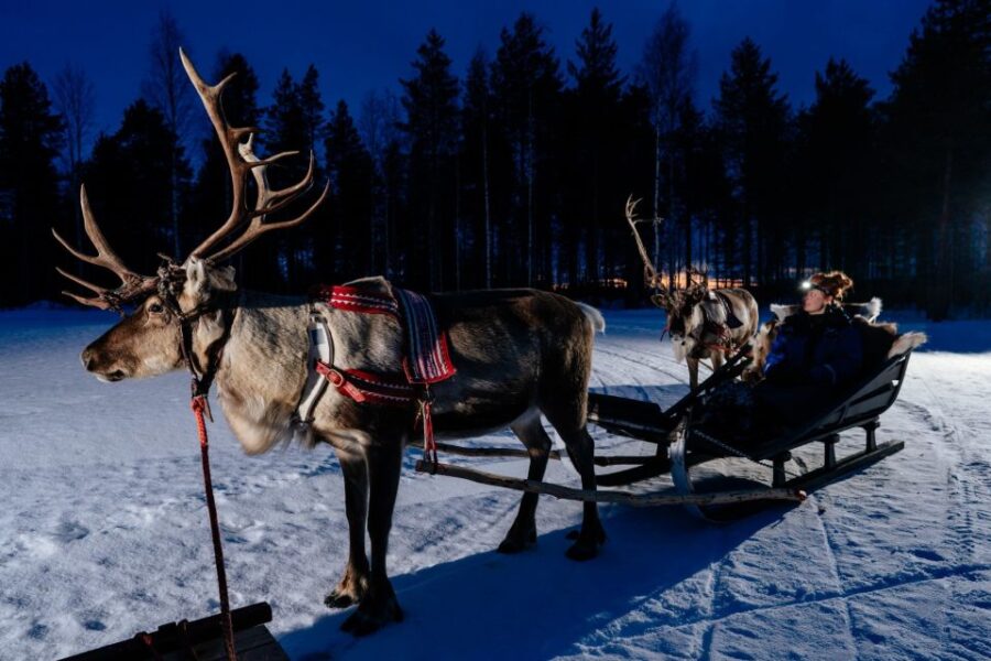 Rovaniemi: Apukka Reindeer Sleigh Ride at Night - Inclusions and Provisions