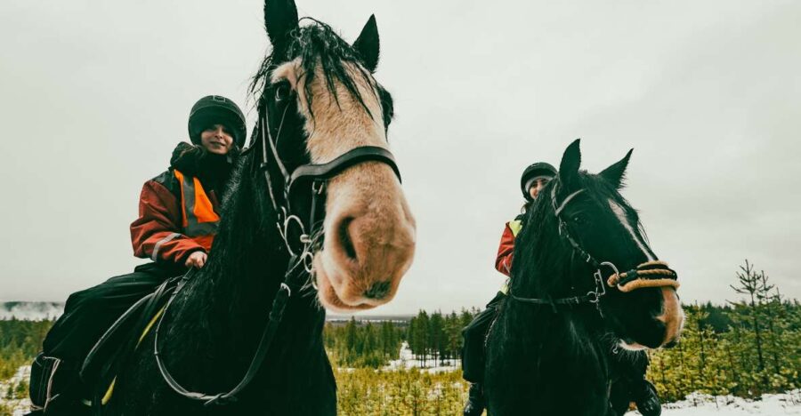 Rovaniemi: Arctic Horse Riding Experience - Inclusion and Logistics