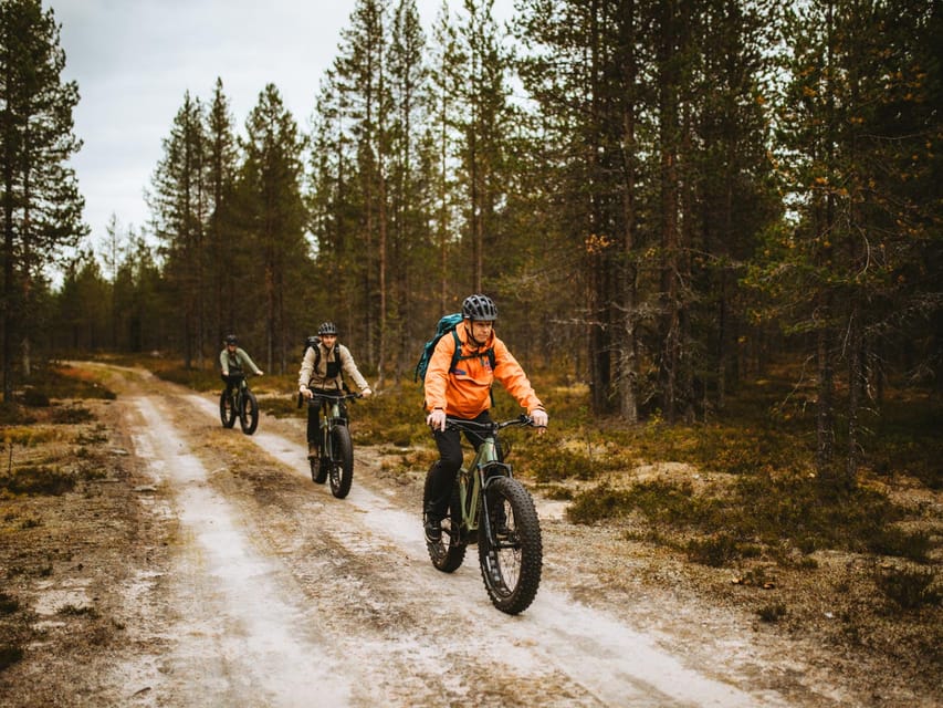 Rovaniemi: Arctic Wilderness & Forests Guided E-Bike Tour - Tour Overview