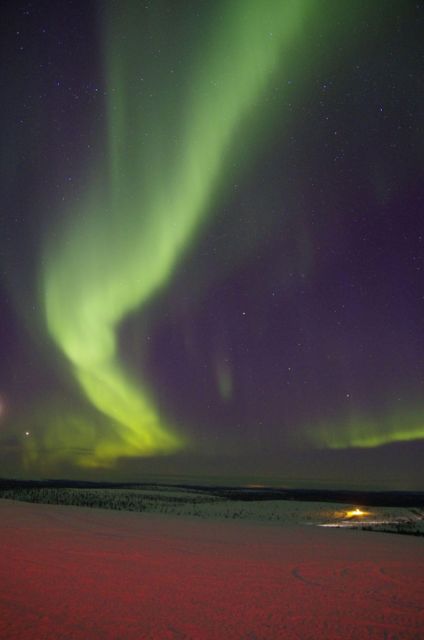 Rovaniemi: Aurora Hunting Tour By Van