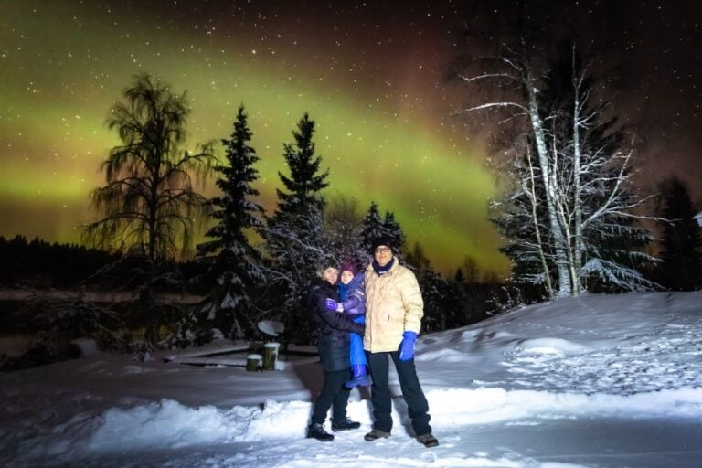 Rovaniemi: Guided Northern Lights Tour