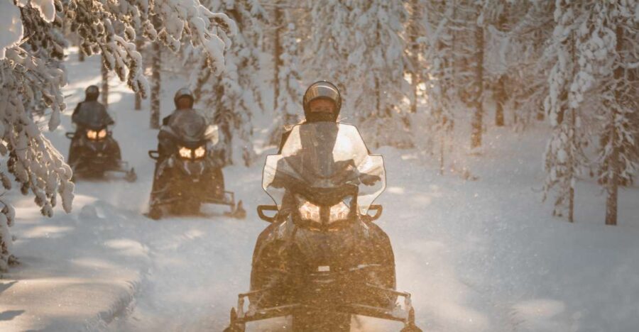 Rovaniemi: Lake Lehtojärvi Electric Snowmobile Safari Tour - Booking Information
