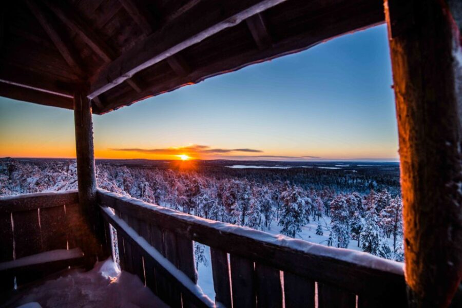 Rovaniemi: Nordic Forest Wilderness Adventure