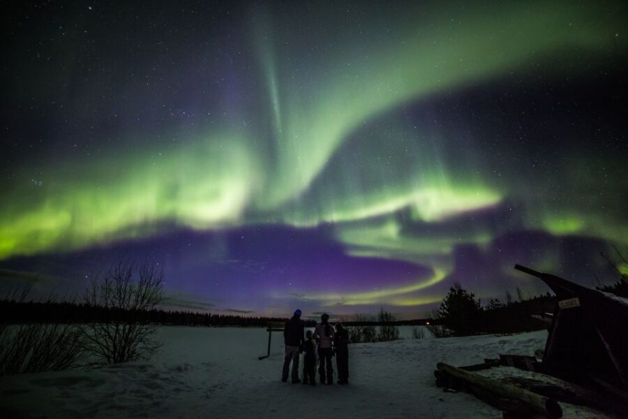 Rovaniemi: Northern Lights Sledge Ride
