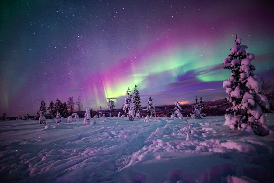 Rovaniemi: Northern Lights Snowmobile Sledge Ride