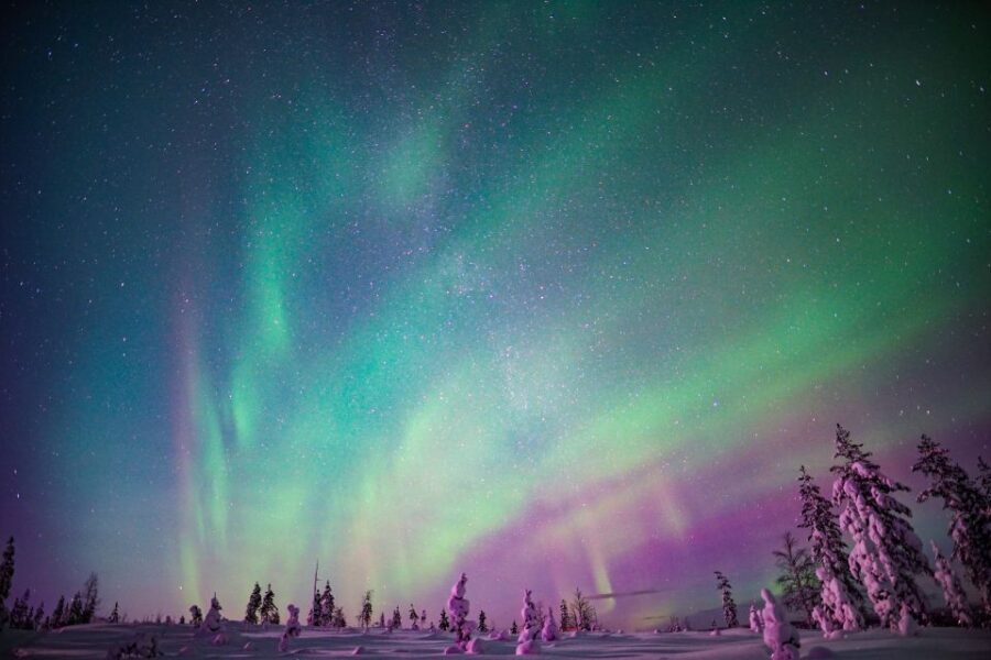 Rovaniemi: Northern Lights Snowmobile Tour