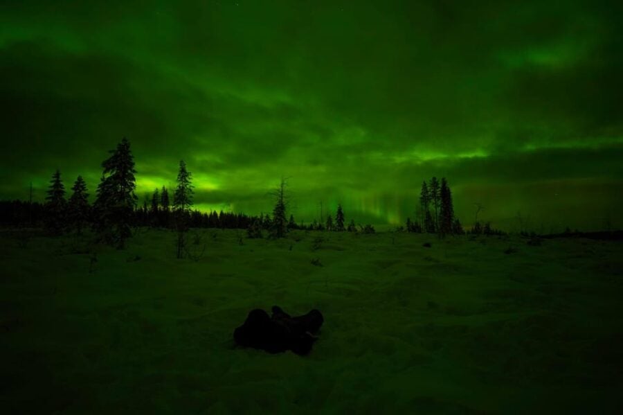 Rovaniemi: Northern Lights Tour at the Campfire