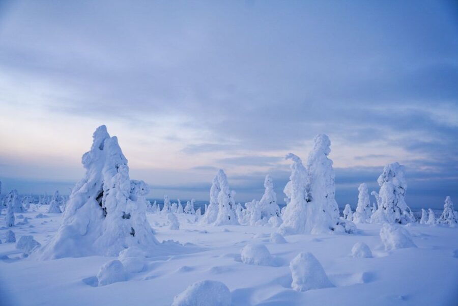 Rovaniemi: Riisitunturi National Park Day Trip With Lunch - Itinerary and Experience