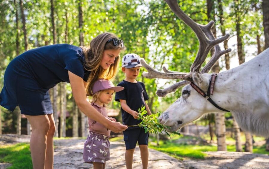 Rovaniemi: Saami Reindeer Farm Visit & Sleigh Ride