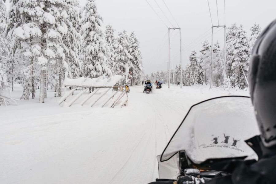 Rovaniemi: Snowmobile Safari, Reindeer & Husky Sleigh Ride