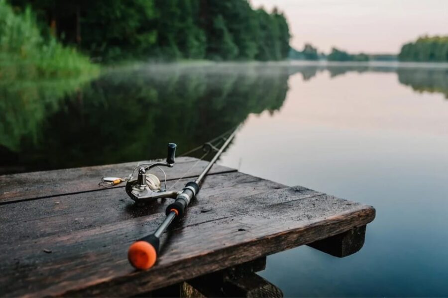 Rovaniemi: Summer Fishing Tour in Arctic Nature & BBQ