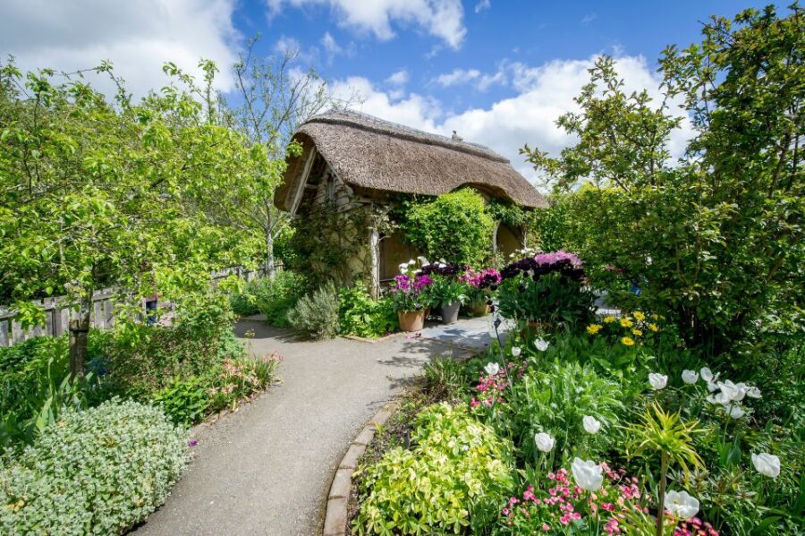 Royal Horticultural Society: Rosemoor Garden Ticket