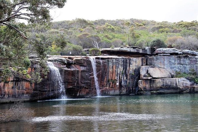 Royal National Park Private Tour